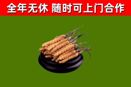 明光市烟酒回收冬虫夏草.jpg